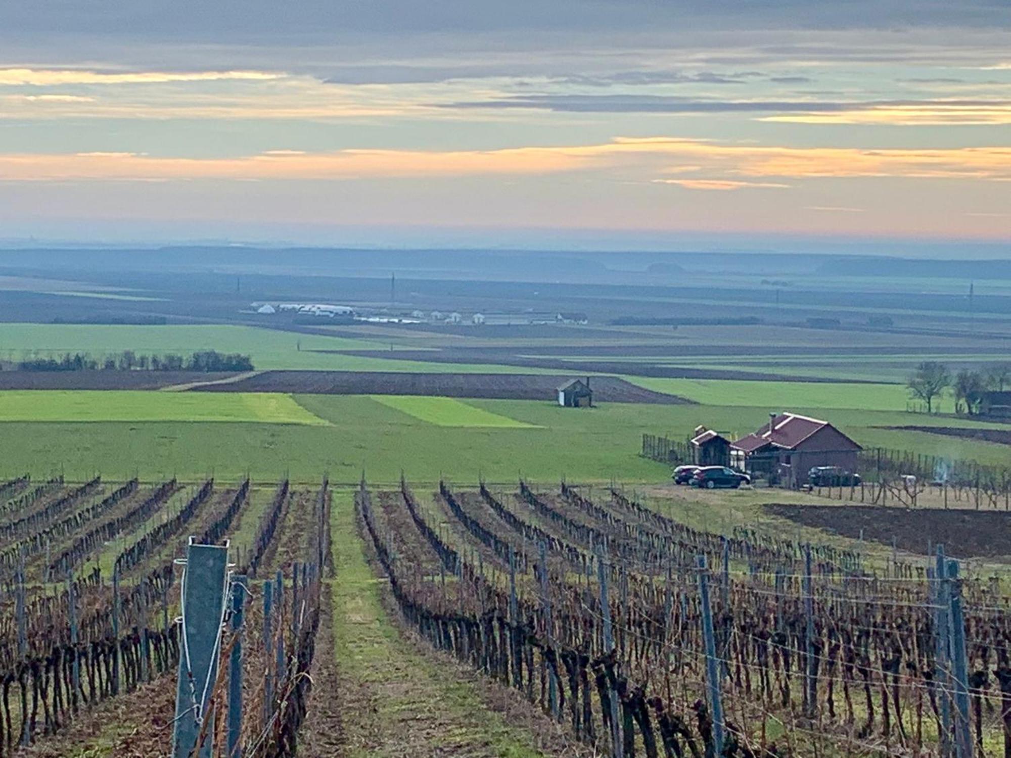 Kuca Za Odmor Kiss-Karanac,Baranja Villa Exterior photo